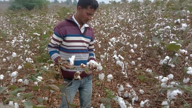 Direct sourcing